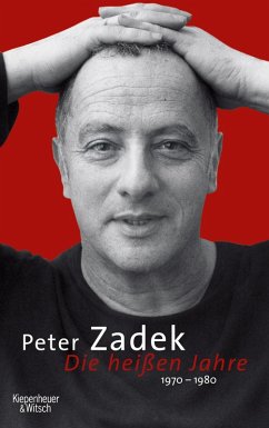 Die heißen Jahre (eBook, ePUB) - Zadek, Peter