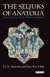 The Seljuks of Anatolia (eBook, ePUB) - Bild 1