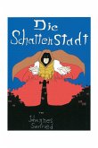 Die Schattenstadt (eBook, ePUB)