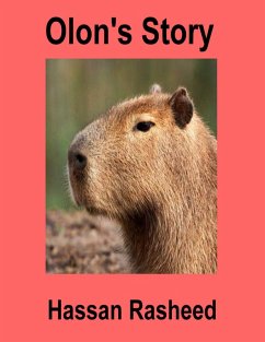 Olon's Story (eBook, ePUB) - Rasheed, Hassan