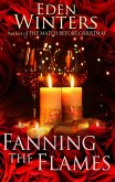 Fanning the Flames (The Match Before Christmas, #2) (eBook, ePUB)