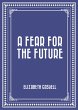 A Fear for the Future (eBook, ePUB) - Bild 1