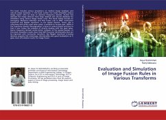 Evaluation and Simulation of Image Fusion Rules in Various Transforms