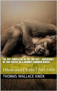 The Boy Travellers in the Far East, Part Fifth / Adventures of Two Youths in a Journey through Africa (eBook, PDF) - Wallace Knox, Thomas