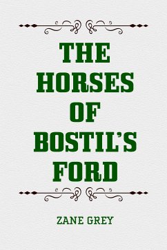 The Horses of Bostil’s Ford (eBook, ePUB) - Grey, Zane