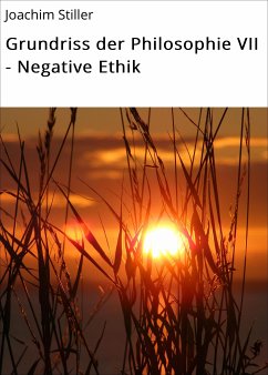 Grundriss der Philosophie VII - Negative Ethik (eBook, ePUB) - Stiller, Joachim