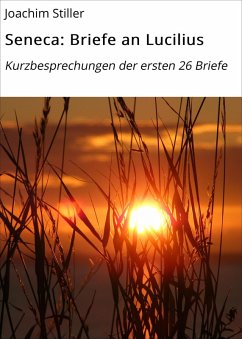 Seneca: Briefe an Lucilius (eBook, ePUB) - Stiller, Joachim