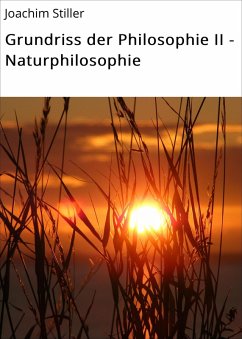 Grundriss der Philosophie II - Naturphilosophie (eBook, ePUB) - Stiller, Joachim