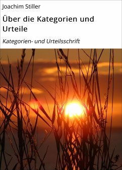 Über die Kategorien und Urteile (eBook, ePUB) - Stiller, Joachim