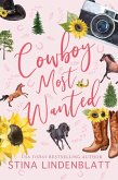 Cowboy Most Wanted (Copper Creek, #1) (eBook, ePUB)