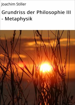 Grundriss der Philosophie III - Metaphysik (eBook, ePUB) - Stiller, Joachim