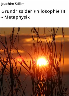 Grundriss der Philosophie III - Metaphysik (eBook, ePUB) - Stiller, Joachim