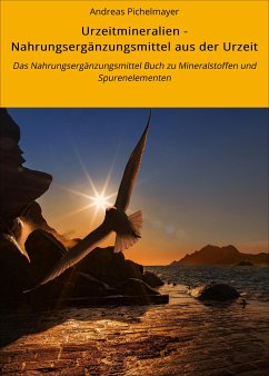 Urzeitmineralien - Nahrungsergänzungsmittel aus der Urzeit (eBook, ePUB) - Pichelmayer, Andreas