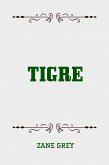 Tigre (eBook, ePUB)