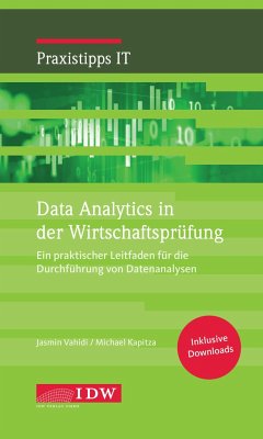 Data Analytics in der Wirtschaftsprüfung - Jasmin, Vahidi;Kapitzka, Michael;Michael, Kapitza