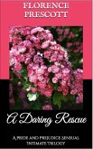 A Daring Rescue: A Pride and Prejudice Sensual Intimate Trilogy (eBook, ePUB)