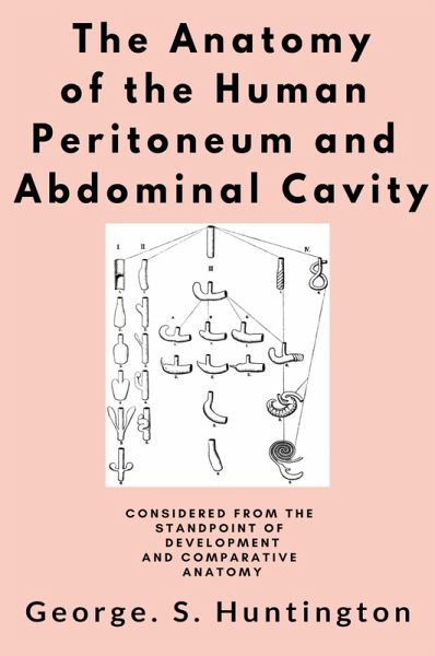 The Anatomy of the Human Peritoneum and Abdominal Cavity (eBook, ePUB) The Anatomy of the Human Peritoneum and Abdominal Cavity (eBook, ePUB)