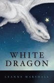 White Dragon (eBook, ePUB)