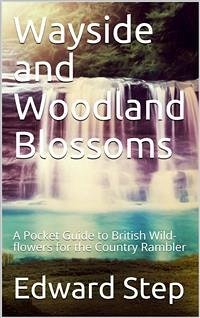 Wayside and Woodland Blossoms / A Pocket Guide to British Wild-flowers for the Country Rambler (eBook, PDF) - Step, Edward
