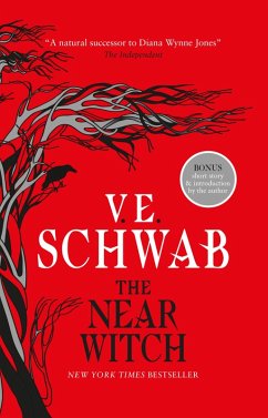 The Near Witch (eBook, ePUB) - Schwab, V. E.