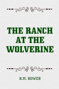 The Ranch at the Wolverine (eBook, ePUB) - Bower, B.M.