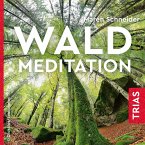 Waldmeditation (MP3-Download)