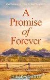 A Promise of Forever (The Seedling Homestead Series, #3) (eBook, ePUB)