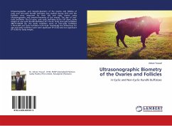 Ultrasonographic Biometry of the Ovaries and Follicles