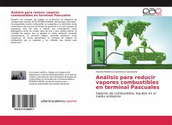 Cover Análisis para reducir vapores combustibles en terminal Pascuales