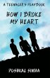 How I Broke My Heart (eBook, ePUB) - Bild 1