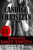 Bodacious Baker's Dozen (eBook, ePUB)