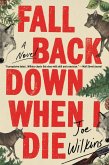 Fall Back Down When I Die (eBook, ePUB)