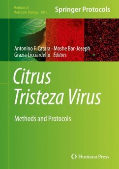 Citrus Tristeza Virus