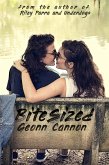 Bite Sized (eBook, ePUB)