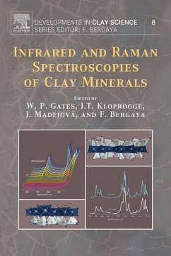 Infrared and Raman Spectroscopies of Clay Minerals (eBook, ePUB)