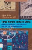 Three Months in Mao's China (eBook, PDF)