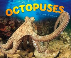 Cover Octopuses (eBook, PDF)