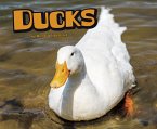 Ducks (eBook, PDF)