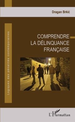 Cover Comprendre la delinquance francaise (eBook, PDF)