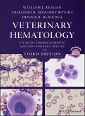 Veterinary Hematology (eBook, PDF)