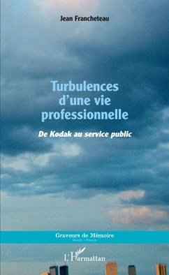 Turbulences d'une vie professionnelle (eBook, PDF) Cover Turbulences d'une vie professionnelle (eBook, PDF)