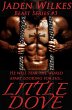 Little Dove (The Beast, #3) (eBook,... - Bild 1