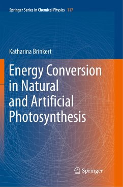 Energy Conversion in Natural and Artificial Photosynthesis - Brinkert, Katharina