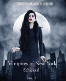 Vampires of New York 1 (eBook, ePUB)