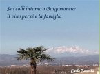 Sui colli intorno a Borgomanero (fixed-layout eBook, ePUB)