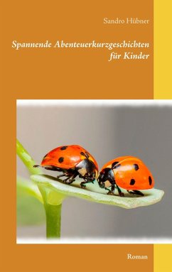 Spannende Abenteuerkurzgeschichten für Kinder (eBook, ePUB) - Hübner, Sandro