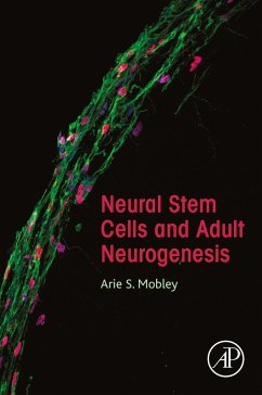 Neural Stem Cells and Adult Neurogenesis (eBook, ePUB) - Mobley, Arie S.