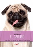 ¡Descúbrelo! El Carlino (eBook, ePUB)
