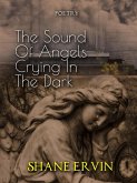 The Sound Of Angels Crying In The Dark (eBook, ePUB)