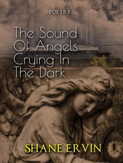The Sound Of Angels Crying In The Dark (eBook, ePUB) - Ervin, Shane